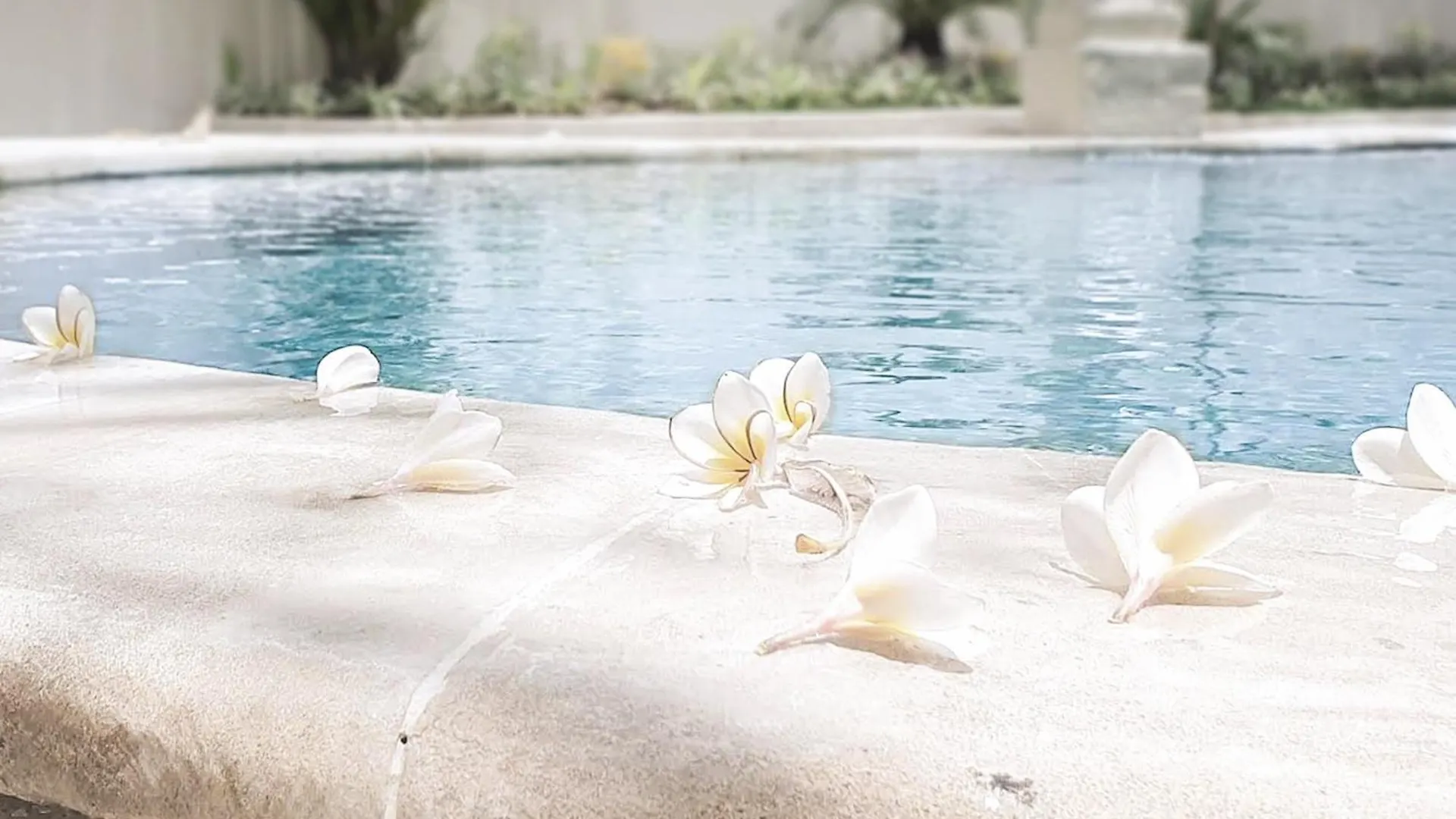 Villa De Malicott Athena Seminyak Indonesia